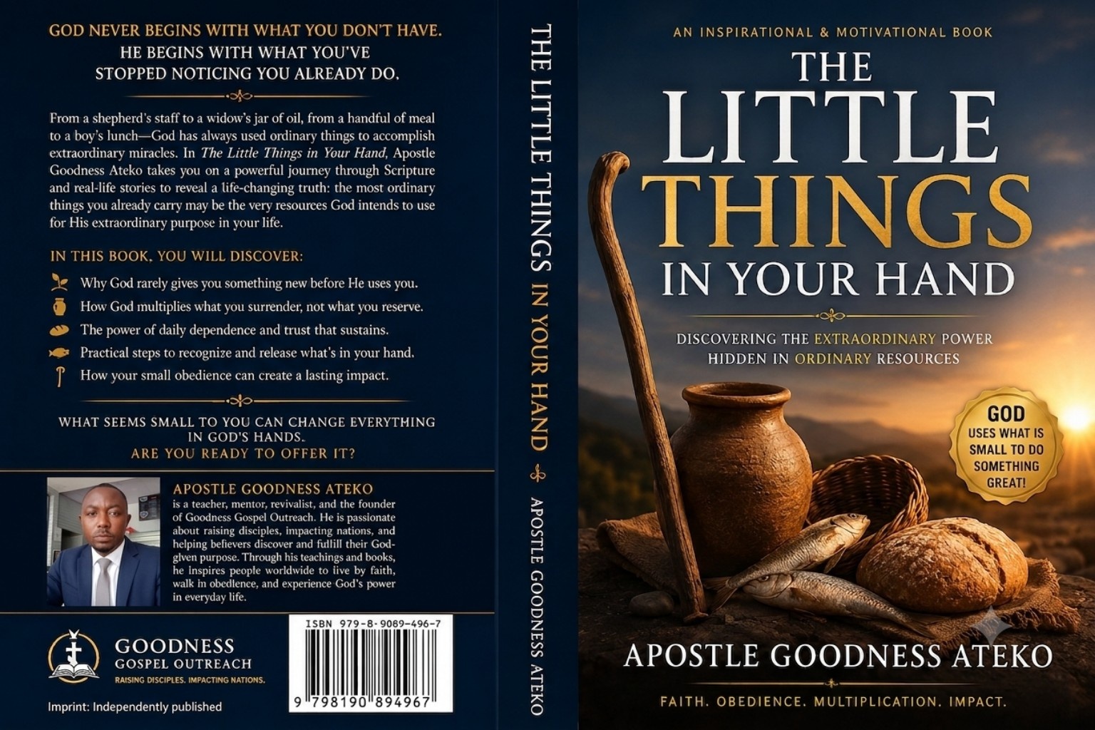 The Little Things in Your Hand cover